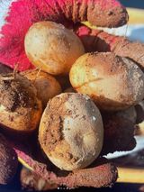 팜모닝 콩·영농일지 게시글 이미지