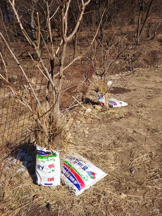 18562최장영님의 고구마 · 영농일지 작성글 사진