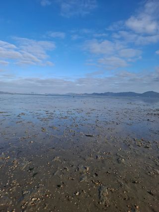 결단이님의 기타작물 · 영농일지 작성글 사진