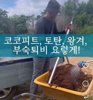 송강섭님의 기타작물 · 영농일지 작성글 사진