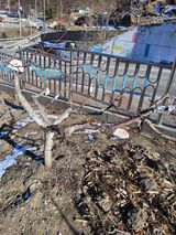 팜모닝 자두·영농일지 게시글 이미지