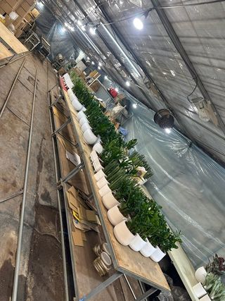 두릅나무15847님의 기타작물 · 영농일지 작성글 사진