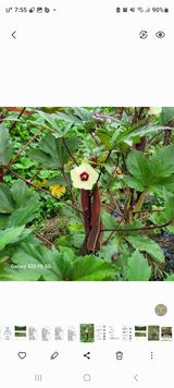 정찬영님의 작성글 사진