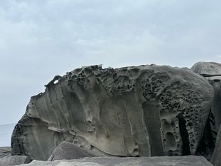 이익수님의 기타작물 · 영농일지 작성글 사진