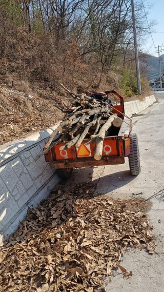 김동명님의 버섯 · 영농일지 작성글 사진
