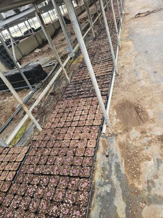 신상섭님의 기타작물 · 영농일지 작성글 사진