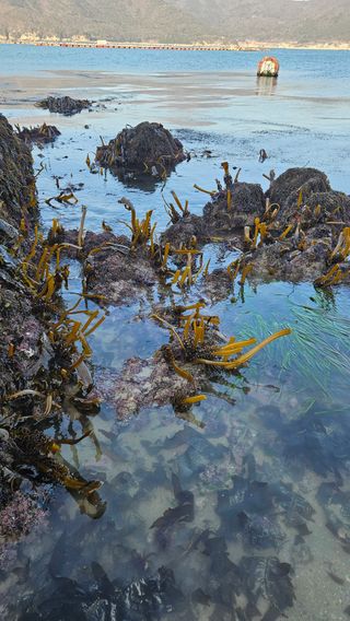 옥재벌님의 기타작물 · 영농일지 작성글 사진