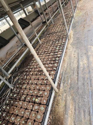 신상섭님의 기타작물 · 영농일지 작성글 사진