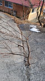 bpjh9173님의 작성글 사진