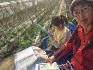 늘햇살팜 님의 호박 · 영농일지 작성글 사진