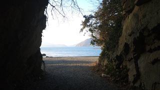 옥재벌님의 기타작물 · 영농일지 작성글 사진