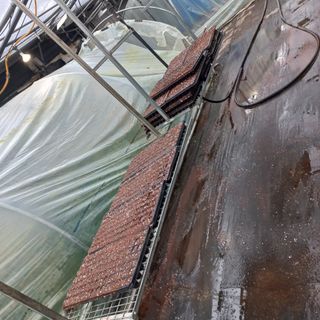 두릅나무15847님의 기타작물 · 영농일지 작성글 사진