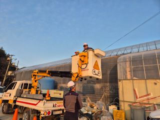 늘햇살팜 님의 호박 · 영농일지 작성글 사진