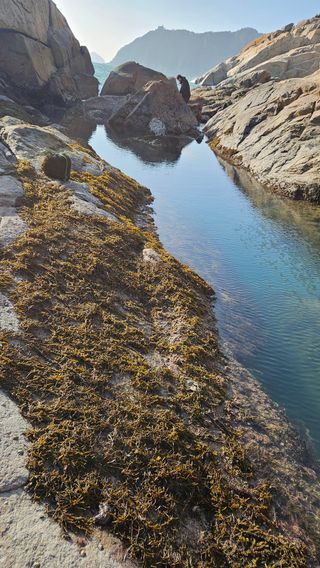 옥재벌님의 기타작물 · 영농일지 작성글 사진