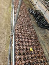 팜모닝 기타작물·영농일지 게시글 이미지