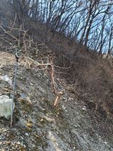 팜모닝 감·영농일지 게시글 이미지