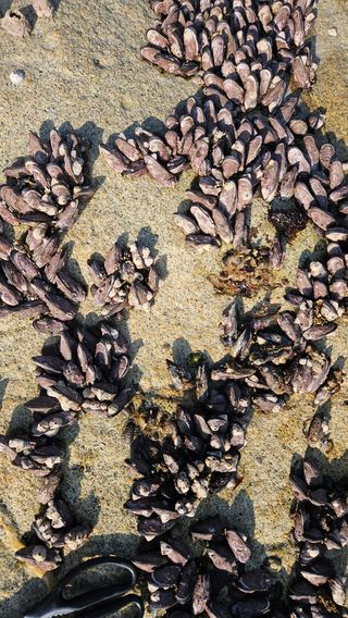 옥재벌님의 기타작물 · 영농일지 작성글 사진