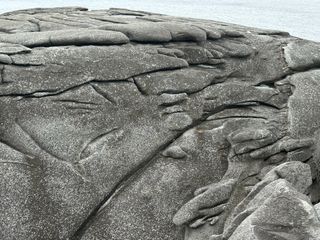 이익수님의 기타작물 · 영농일지 작성글 사진