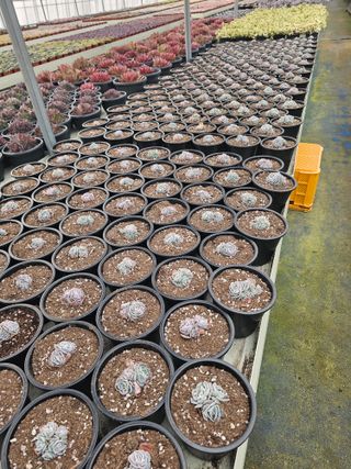 신상섭님의 기타작물 · 영농일지 작성글 사진