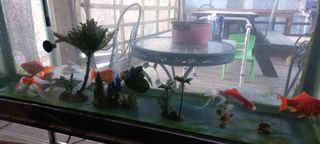 정석채님의 기타작물 · 영농일지 작성글 사진