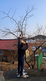 bpjh9173님의 작성글 사진