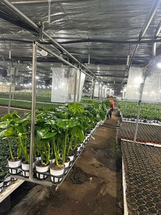 두릅나무15847님의 기타작물 · 영농일지 작성글 사진