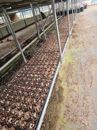 신상섭님의 기타작물 · 영농일지 작성글 사진