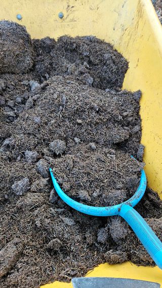 대봉농원 이경화님의 블루베리 · 영농일지 작성글 사진