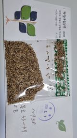 팜모닝 기타작물·영농일지 게시글 이미지