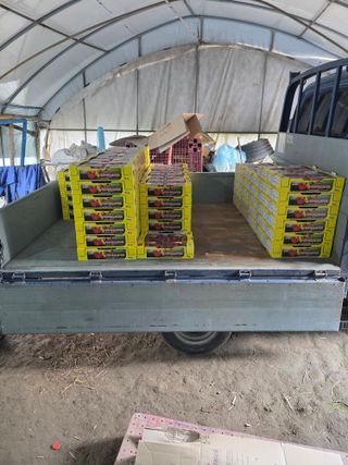 오경세님의 토마토 · 영농일지 작성글 사진