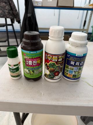 김정열님의 기타작물 · 영농일지 작성글 사진