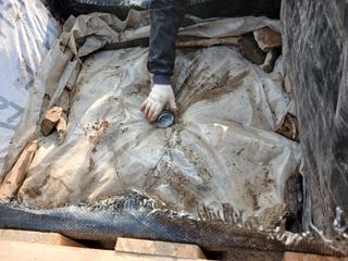 김홍중님의 기타작물 · 영농일지 작성글 사진