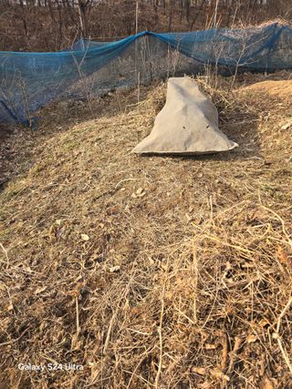 소병찬님의 감 · 영농일지 작성글 사진