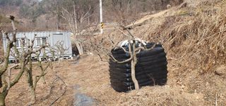 반성식님의 기타작물 · 영농일지 작성글 사진