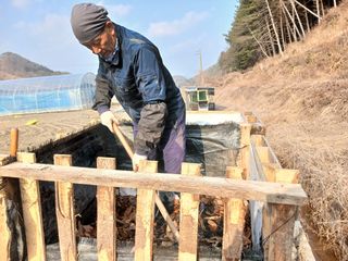 김홍중님의 기타작물 · 영농일지 작성글 사진