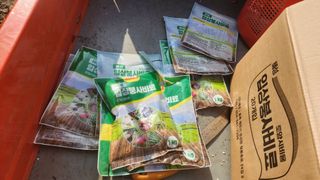 김준한님의 자두 · 영농일지 작성글 사진