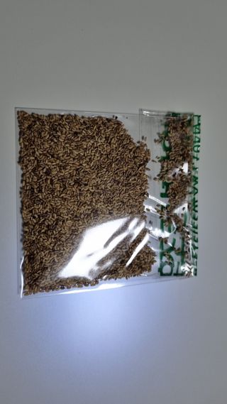 김지철님의 기타작물 · 영농일지 작성글 사진