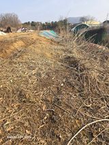 팜모닝 감·영농일지 게시글 이미지