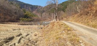 반성식님의 기타작물 · 영농일지 작성글 사진