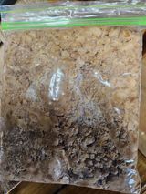 팜모닝 기타작물·영농일지 게시글 이미지