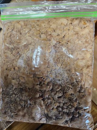 고사리.밤.육쪽마늘님의 기타작물 · 영농일지 작성글 사진