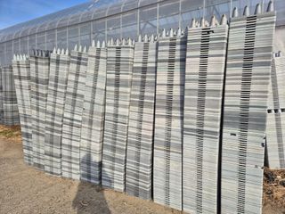 늘햇살팜 님의 딸기 · 영농일지 작성글 사진