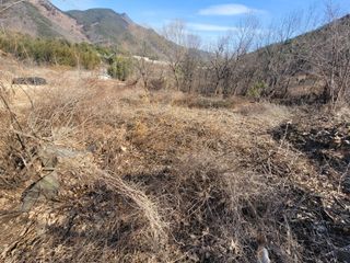 서성환님의 두릅 · 영농일지 작성글 사진