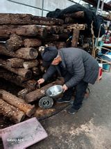 팜모닝 기타작물·영농일지 게시글 이미지