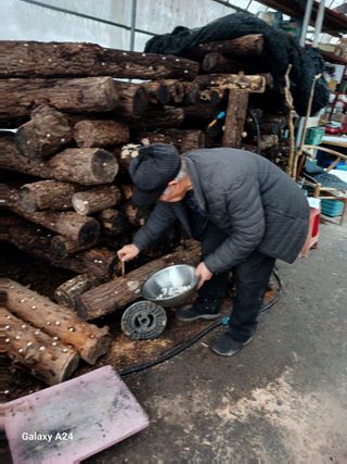 강성흔목사 님의 기타작물 · 영농일지 작성글 사진