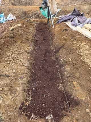 운길산님의 기타작물 · 영농일지 작성글 사진