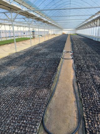 팜모닝회원 김순달 님의 기타작물 · 영농일지 작성글 사진