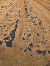 팜모닝 기타작물·영농일지 게시글 이미지