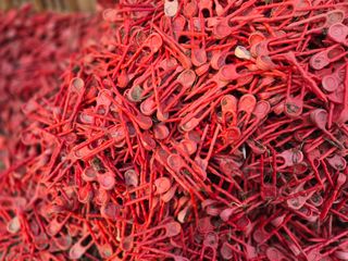 늘햇살팜 님의 딸기 · 영농일지 작성글 사진