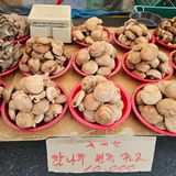 곽희동님의 작성글 사진